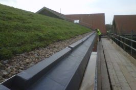 green roof