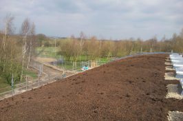 Green roof