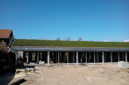 Green roof installation
