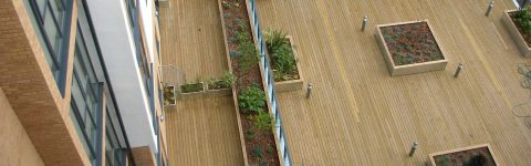 Garden Roofing